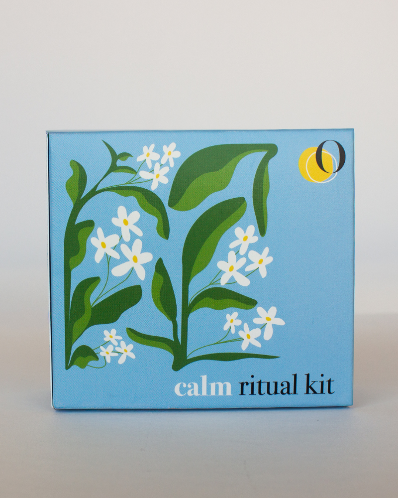 the jasmine discovery set