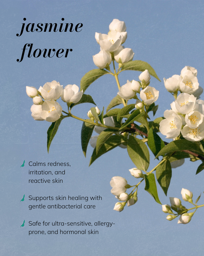 Jasmine Essence - Soothing & Hydrating Floral Water